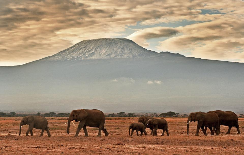 Kilimanjaro