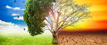 Climate Change